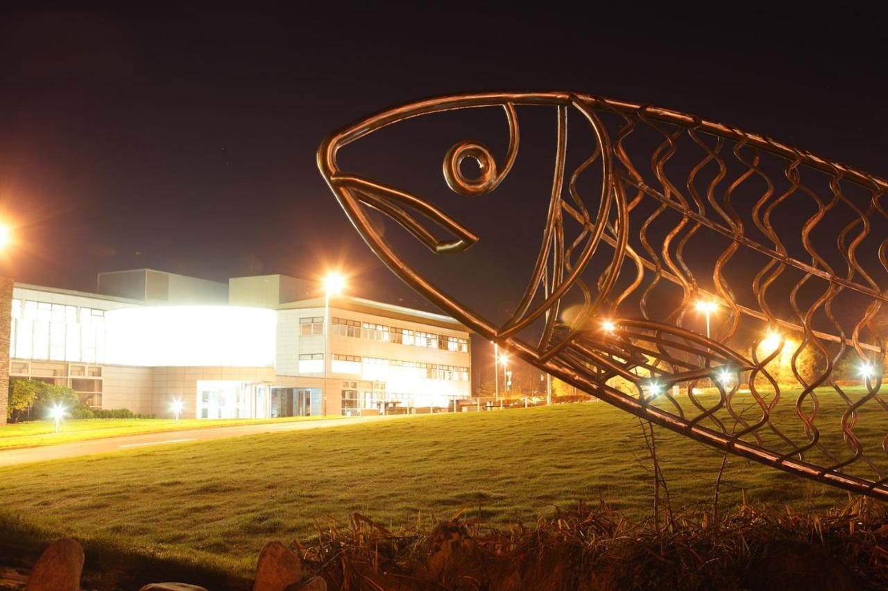 Causeway Holiday Homes Coleraine Eksteriør bilde